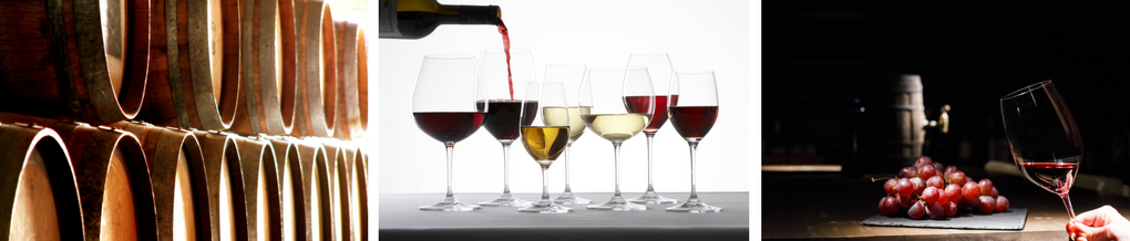 El Vino, su Conservación y Cata (Octubre 2023-Horario Tarde)