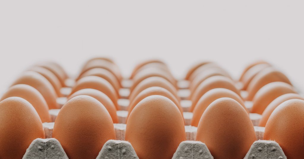 CAMPAÑA DE SANIDAD: Prevención de toxiinfecciones alimentarias 