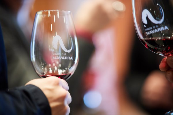 INVITACIÓN profesional: NAVARRA ON TOUR – Vinos D.O. Navarra